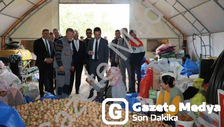 Dinar’da cevizde bereketli sezon: Hasat coşkusu başladı