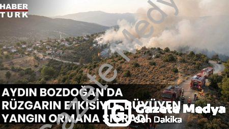 Aydın Bozdoğan’da Rüzgarın Etkisiyle Büyüyen Yangın Ormana Sıçradı