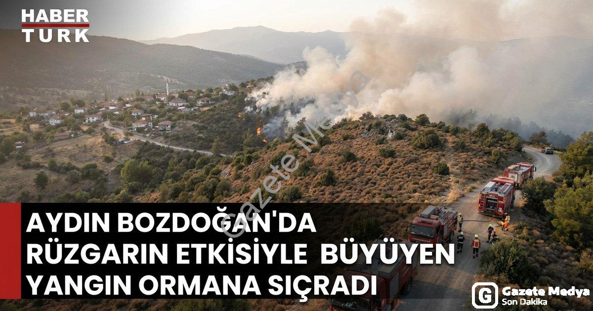 "Aydın Bozdoğan'da Rüzgarın Etkisiyle Büyüyen Yangın Ormana Sıçradı" başlıklı haber için fotorealist