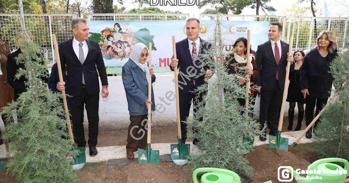 "Muğla'da Her Öğretmen İçin Bir Fidan Dikildi" başlıklı haber için fotorealistik, profesyonel bir ha