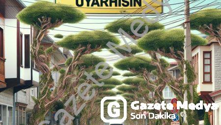 Afyonkarahisar’da Cumhuriyet Mahallesi için ağaç budama uyarısı