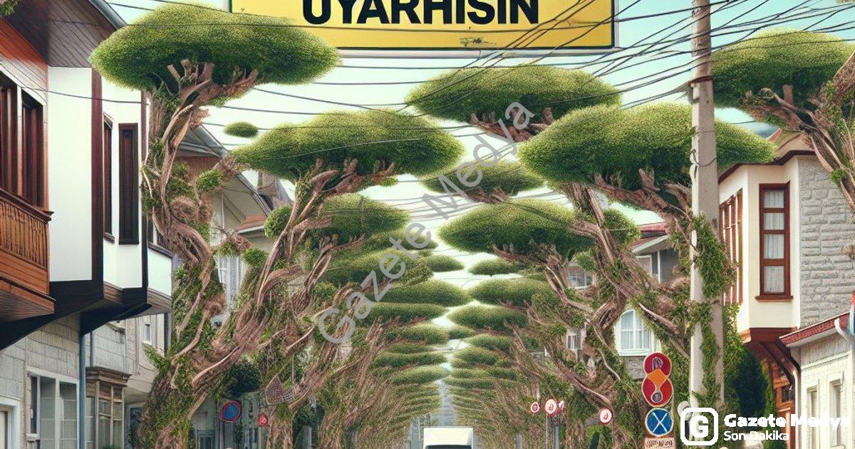 "Afyonkarahisar’da Cumhuriyet Mahallesi için ağaç budama uyarısı" başlıklı haber için fotorealistik,