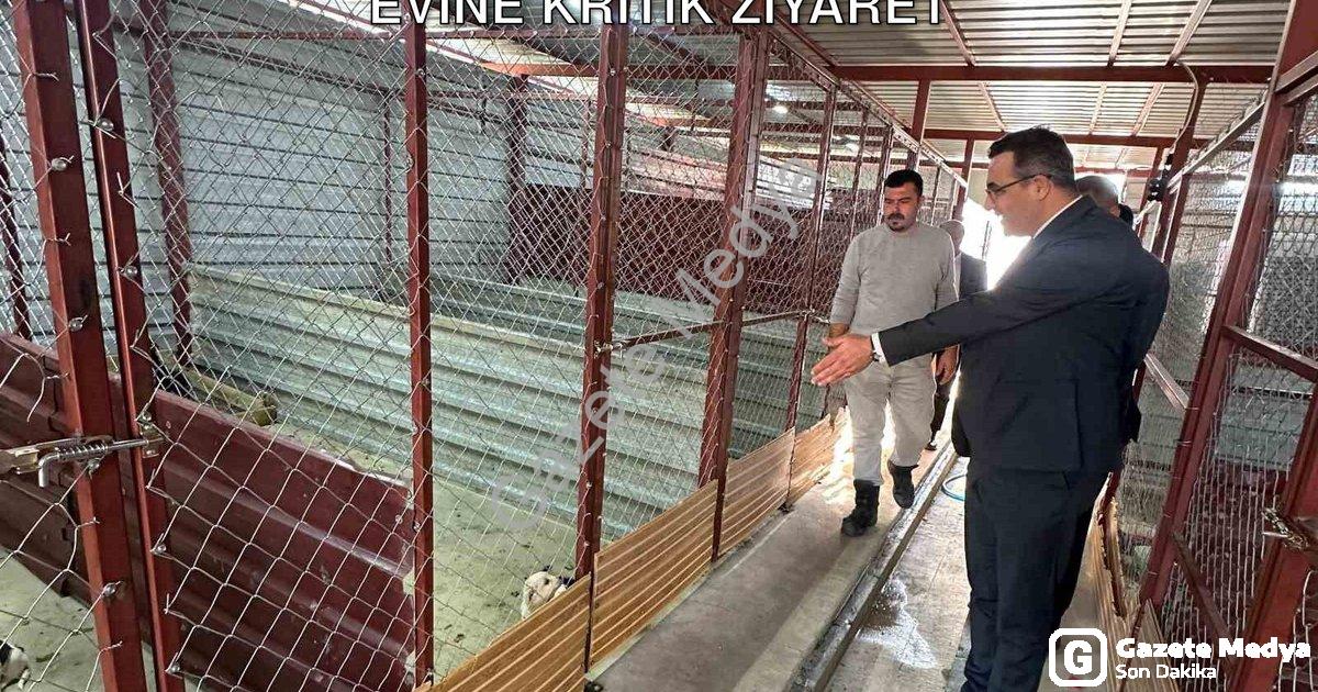 "Sarıgöl Kaymakamı Dalak’tan Hayvan Bakım Evine Kritik Ziyaret" başlıklı haber için fotorealistik, p