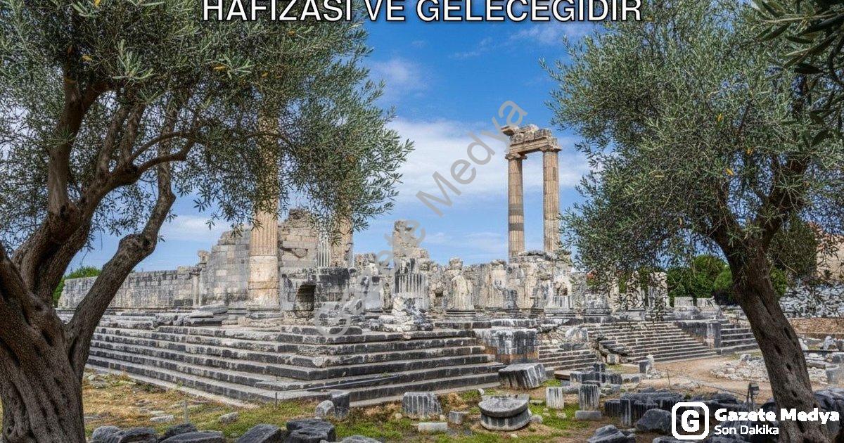 "Başkan Gençay: Zeytin Ağacı Didim'in Hafızası ve Geleceğidir" başlıklı haber için fotorealistik, pr