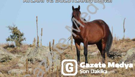 Kumalar Dağı’nda Görsel Şölen: Yılkı Atları ve Bulutların Dansı