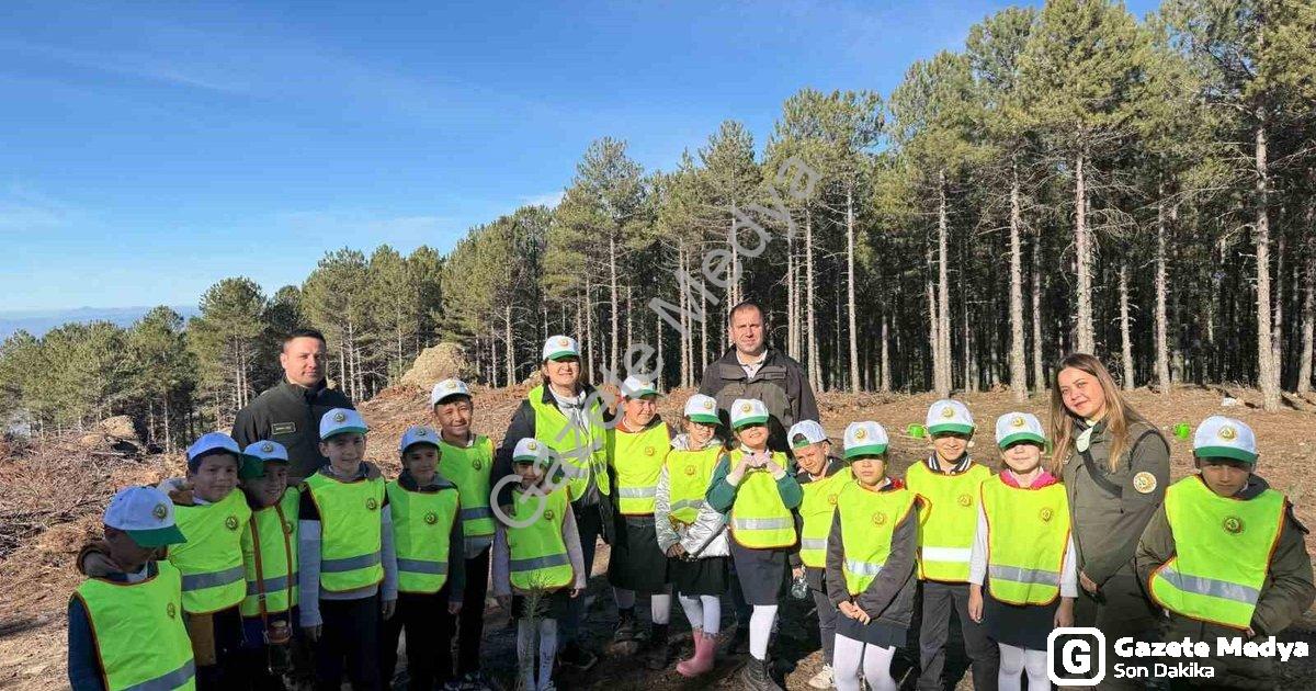 "Çine'de Öğrenciler Doğayla Buluştu: Fidan Dikimi ve Orman Eğitimi" başlıklı haber için fotorealisti