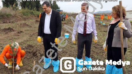 Dalaman’da Mahkumlar Üretime Katılıyor: 10 Dekarlık Sakız Ağacı Bahçesi