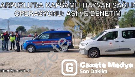Karpuzlu’da Kapsamlı Hayvan Sağlığı Operasyonu: Aşı ve Denetim