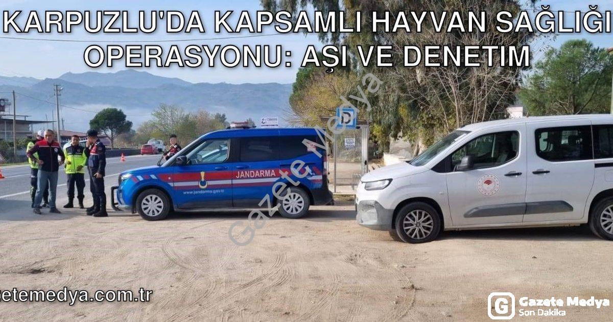 "Karpuzlu'da Kapsamlı Hayvan Sağlığı Operasyonu: Aşı ve Denetim" başlıklı haber için fotorealistik,