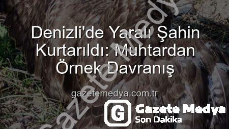 Denizli’de Yaralı Şahin Kurtarıldı: Muhtardan Örnek Davranış