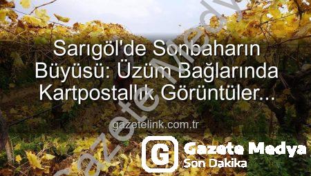 Sarıgöl’de Sonbaharın Büyüsü: Üzüm Bağlarında Kartpostallık Manzaralar Eşliğinde Budama Zamanı