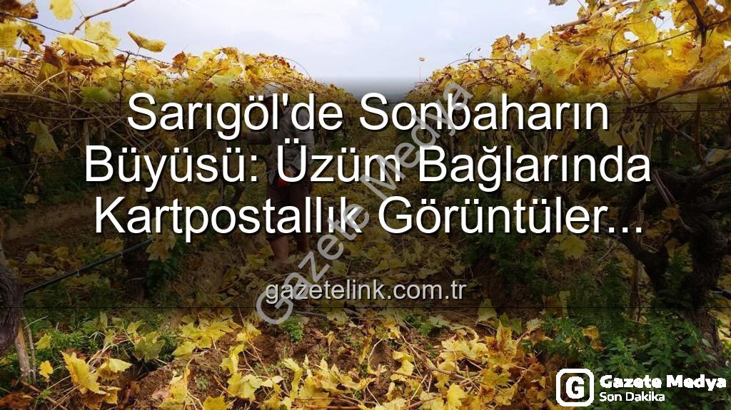 Sarıgöl üzüm bağları - Sarıgöl'de Sonbaharın Büyüsü: Üzüm Bağlarında Kartpostallık Manzaralar Eşliğinde Budama Zamanı