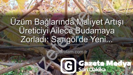 Üzüm Bağlarında Budama Maliyeti Üreticiyi Aile Emeğine Yöneltti: Sarıgöl’de Yeni Dönem