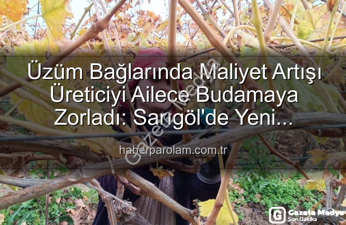 budama maliyeti - Üzüm Bağlarında Budama Maliyeti Üreticiyi Aile Emeğine Yöneltti: Sarıgöl'de Yeni Dönem