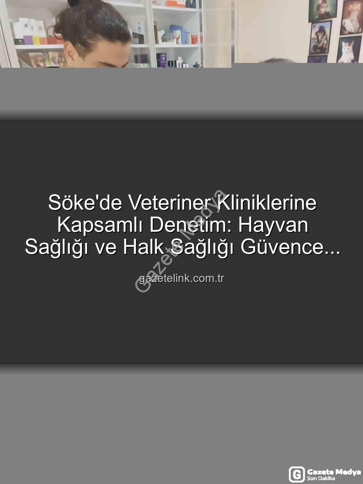 Söke veteriner denetim - Söke'de Veteriner Kliniklerine Kapsamlı Denetim: Hayvan Sağlığı ve Halk Sağlığı Önceliklendirildi