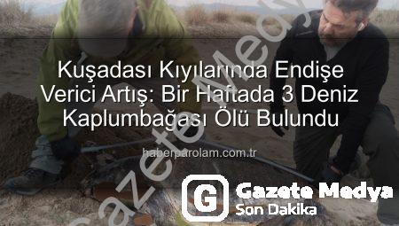 Kuşadası Kıyılarında Kâbus: Bir Haftada 3 Deniz Kaplumbağası Ölü Bulundu! Sebebi Şoke Ediyor