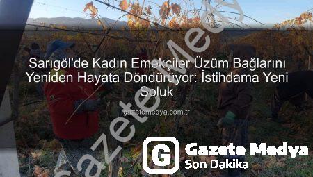 Sarıgöl’de Kadın Emekçiler Üzüm Bağlarını Yeniden Hayata Döndürüyor: İstihdama Yeni Soluk