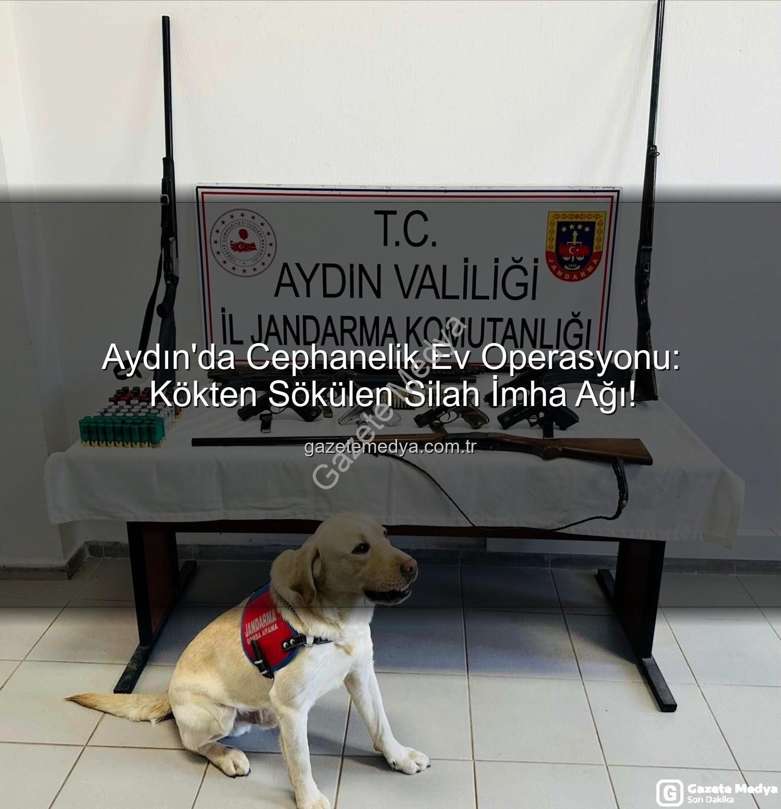 ruhsatsız silah - Aydın'da Cephanelik Ev Operasyonu: Kökten Sökülen Silah İmha Ağı!