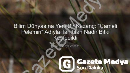 Bilim Dünyasına Yeni Bir Kazanç: “Çameli Pelemiri” Adıyla Tanıtılan Nadir Bitki Keşfedildi