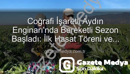 Coğrafi İşaretli Aydın Enginarı’nda Bereketli Sezon Başladı: İlk Hasat Töreni ve Üretim Verileri