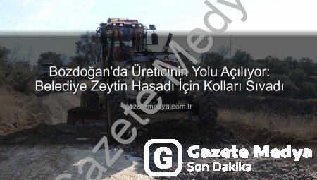 Bozdoğan’da Üreticinin Yolu Açılıyor: Belediye Zeytin Hasadı İçin Kolları Sıvadı