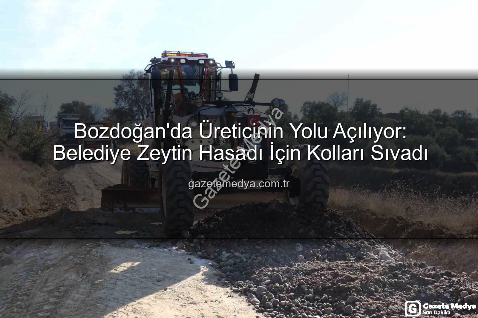 Bozdoğan yol çalışmaları - Bozdoğan'da Üreticinin Yolu Açılıyor: Belediye Zeytin Hasadı İçin Kolları Sıvadı